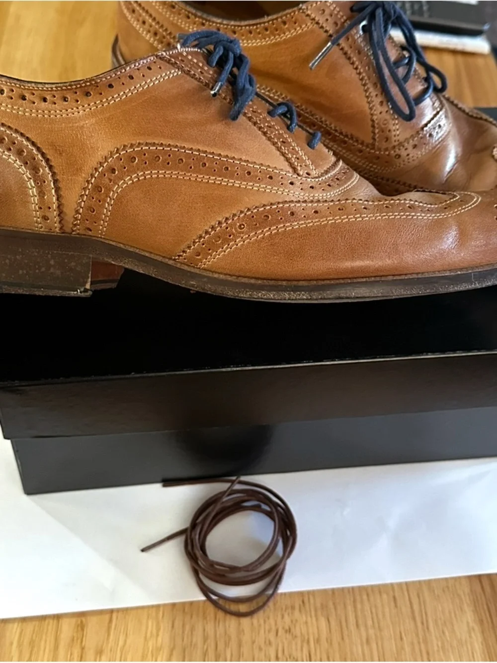 Mercanti Fiorentini Tan Leather Wingtip Oxfords with Navy Laces